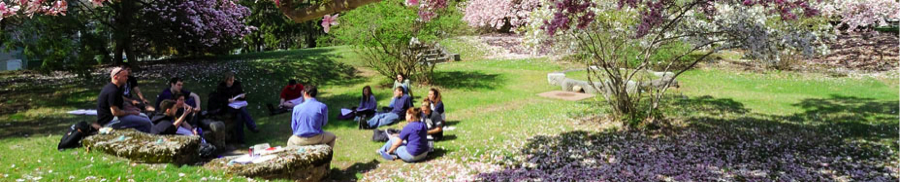 Students on Lawn