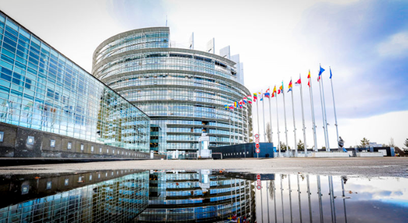 Cepa, EU Parliament