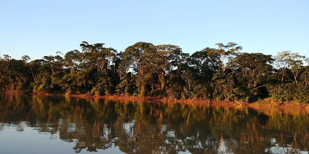 Along the River